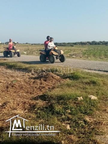 terrain a vendre 5 km de yassmin hammamet 192 m2 a 21.500 D
