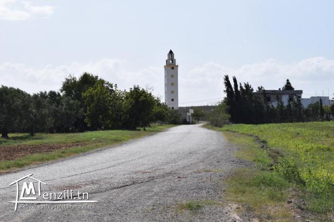 terrain a vendre 5 km de yassmin hammamet 192 m2 a 21.500 D