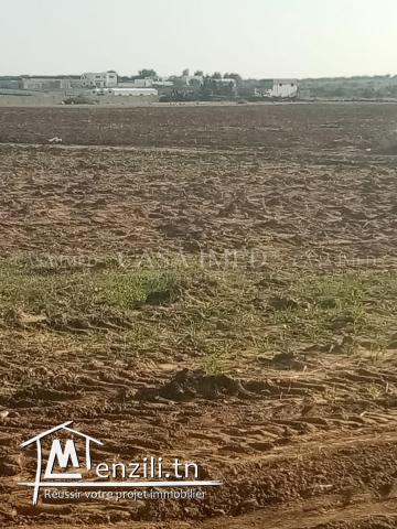 terrain a vendre 5 km de yassmin hammamet 192 m2 a 21.500 D