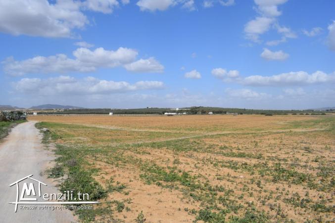 terrain a vendre 5 km de yassmin hammamet 192 m2 a 21.500 D