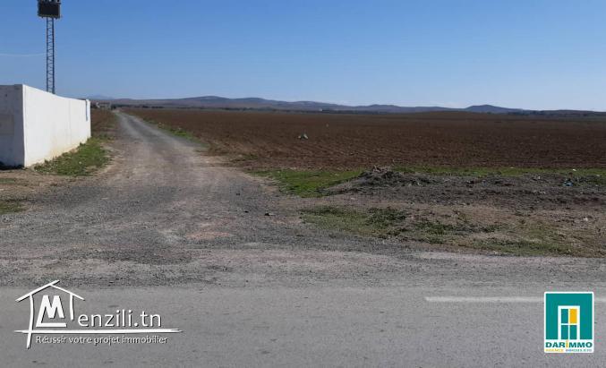 Terrain De 45 000 M² Sur La Route Principale À Mornaguia