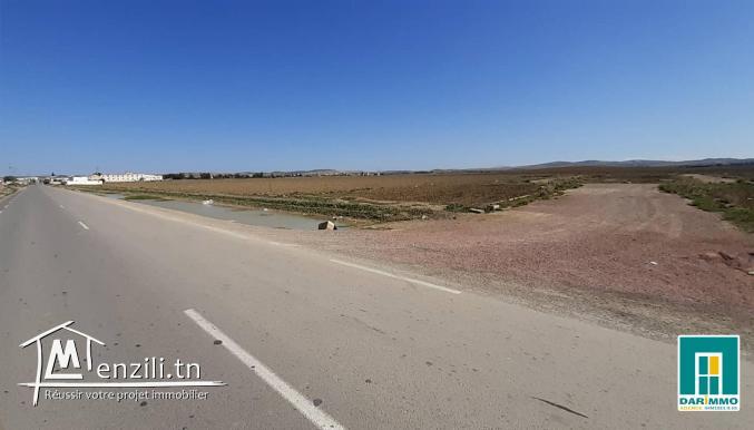 Terrain De 45 000 M² Sur La Route Principale À Mornaguia