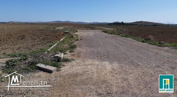 Terrain De 45 000 M² Sur La Route Principale À Mornaguia
