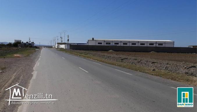 Terrain De 45 000 M² Sur La Route Principale À Mornaguia