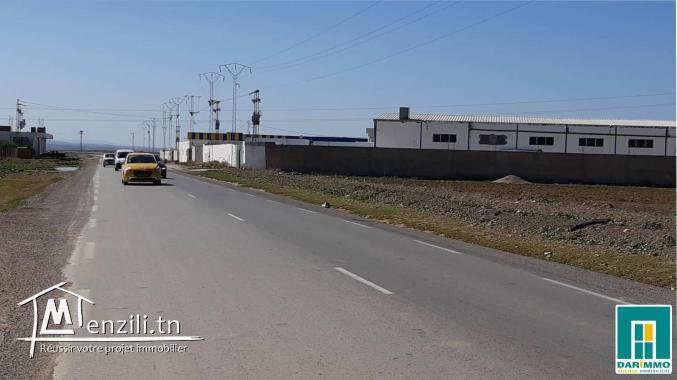 Terrain De 45 000 M² Sur La Route Principale À Mornaguia