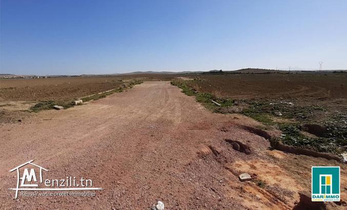 Terrain De 45 000 M² Sur La Route Principale À Mornaguia