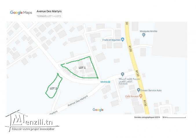 Vends 2 lots (4ha) dans l'indivision