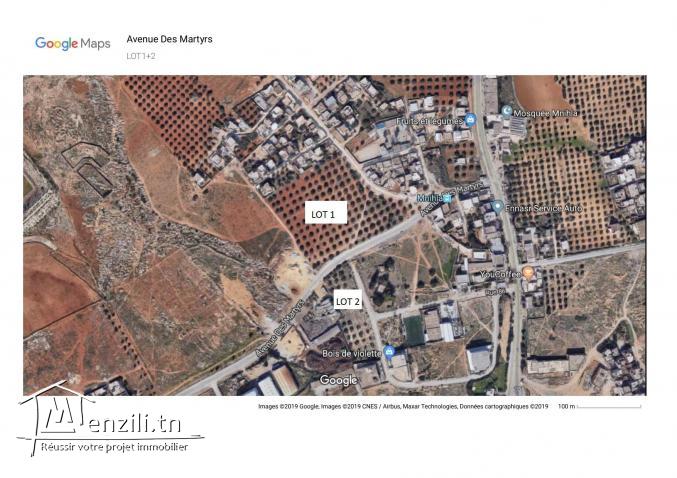 Vends 2 lots (4ha) dans l'indivision