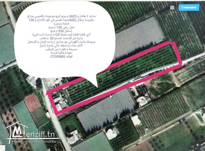 سانية للبيع