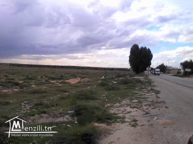 Terrain à El Jem pour tout projet