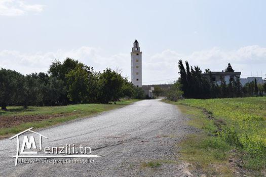 des terrains 9 minute à yassmin hammamet tél 26122779
