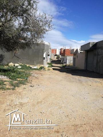 Terrain cité kélibia zone calme(tri9 harouri)