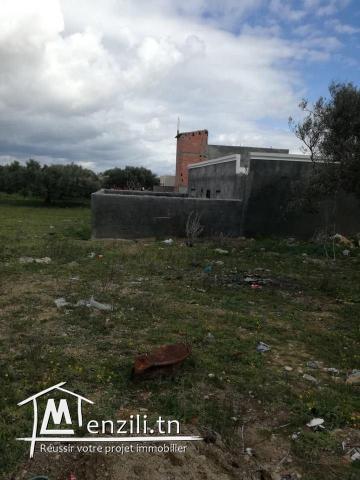 Terrain cité kélibia zone calme(tri9 harouri)