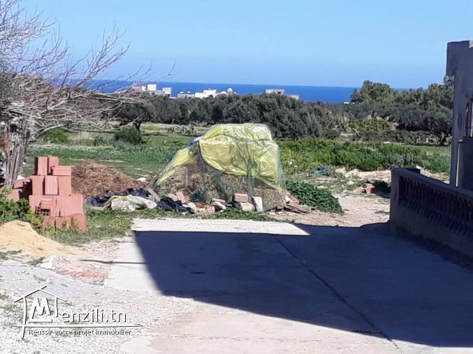 terrain cité hammem jabli zahra kelibia zone calme