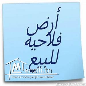 8 hectare à kalaa kbira titré route de haniya