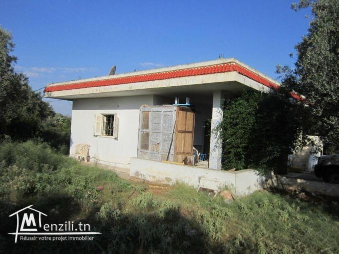 SANIYA 3.4 hectare à KALLA KIBIRA BOURA titré