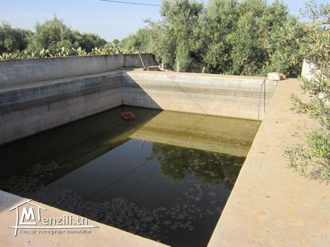 SANIYA 3.4 hectare à KALLA KIBIRA BOURA titré