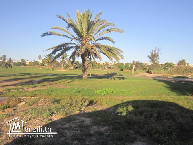 terrain de 1037 m² de bons voisinages à monastir cité PALM FLEX ( en face el mouradi SKanes)