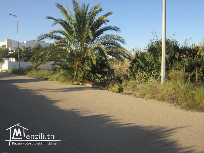 terrain de 1037 m² de bons voisinages à monastir cité PALM FLEX ( en face el mouradi SKanes)
