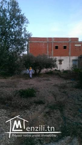 Terrain à sidi salah a 80000mille dinars