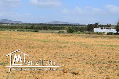 occasion a diwkhla hammamet