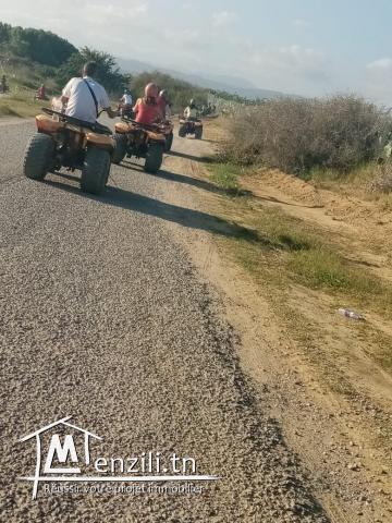 occasion a diwkhla hammamet