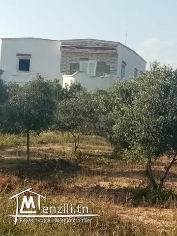 terrain dwikhla hammamet