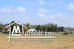 terrain à ne pas rater chez casa imed