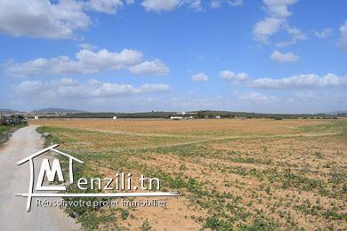 terrain à ne pas rater chez casa imed