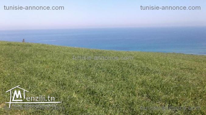 Terrain vue de mer