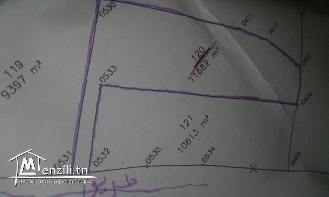 A vendre Terrain agricole de  14249m²