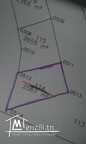 A vendre Terrain agricole de  14249m²