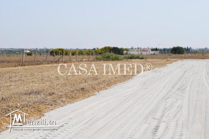 des lots à hammamet sud à Prix imbattable !