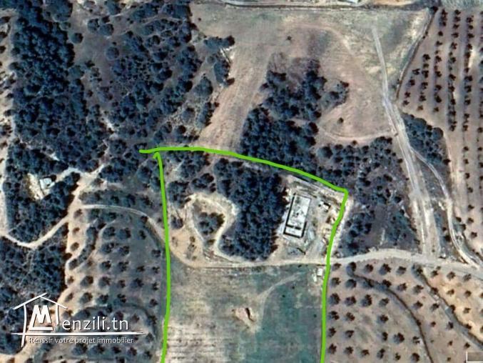 A vendre Sénia + Depôt en construction