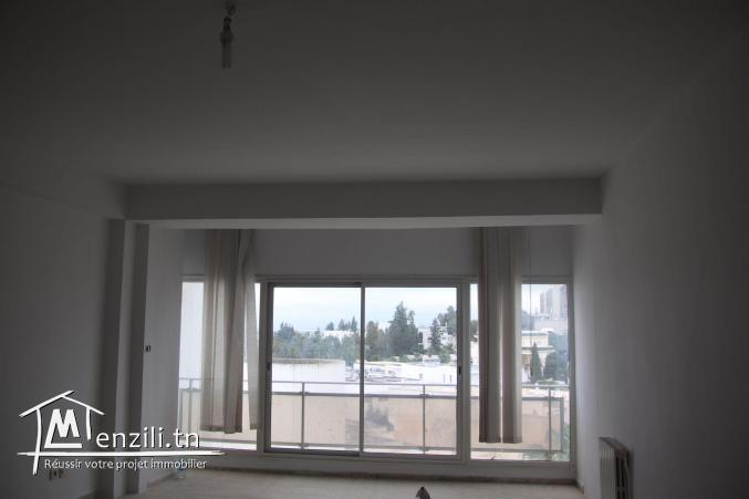 Affaire à saisir, appartement unique