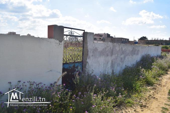 tél 28910833 terrain a kélibia elmansoura