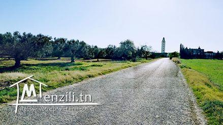 Terrain a 5 km yasmin il hamamet