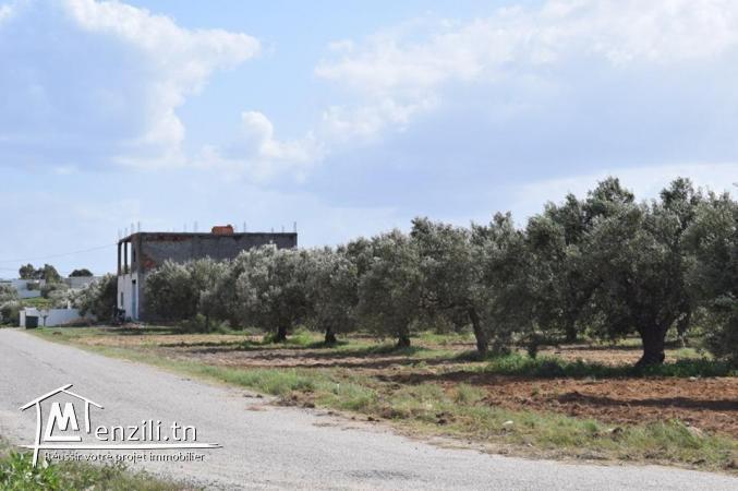 Terrain a 5 km yasmin il hamamet