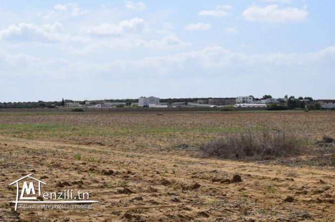 Terrain a 5 km yasmin il hamamet