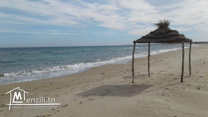 Terrain vue de mer a hawaria