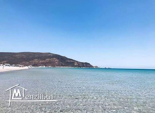 Terrain vue de mer a hawaria