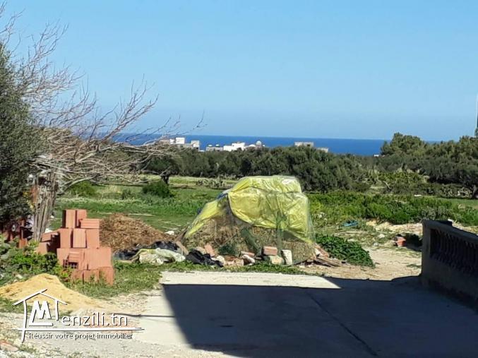 un superbe terrain cité hammem jabli kelibia