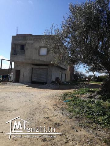 terrain cité kelibia route de harouri