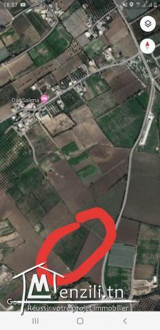 2 hectares avec une petite villa a el ksibi mornag