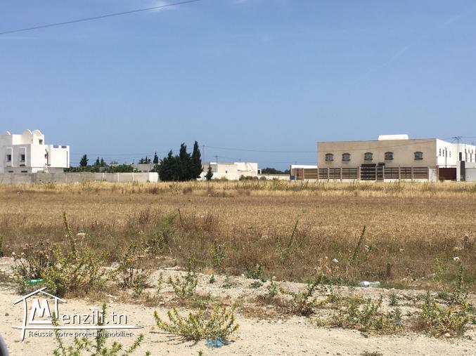 Terrain au bord de mer