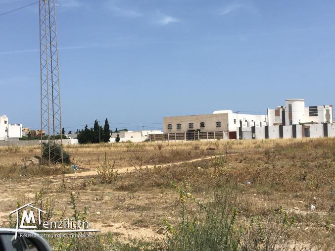 Terrain au bord de mer