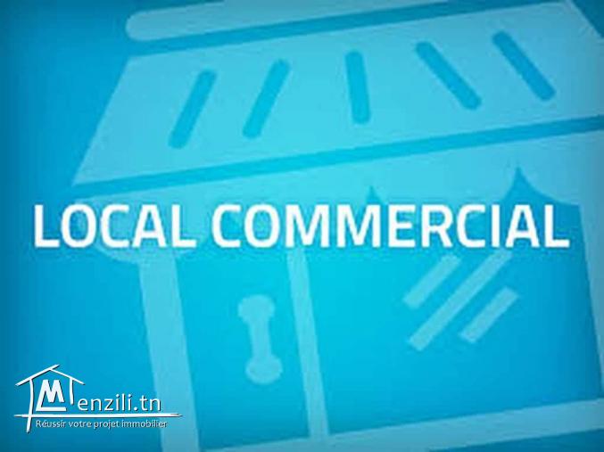 Investissement locatif à monplaisir