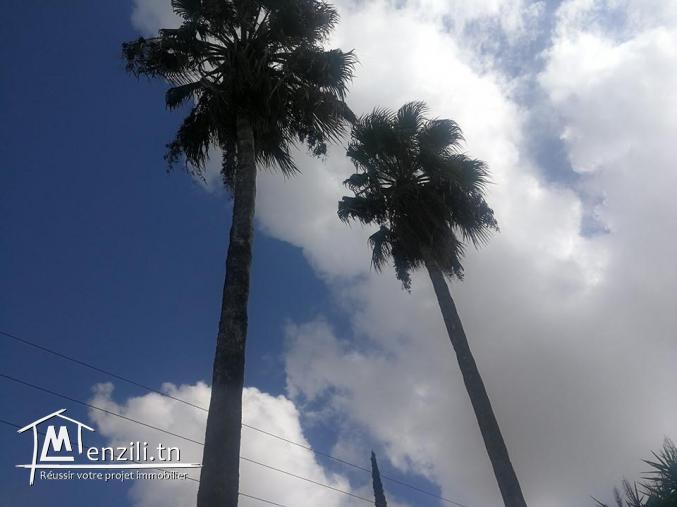 villa de prestige a mongil rades