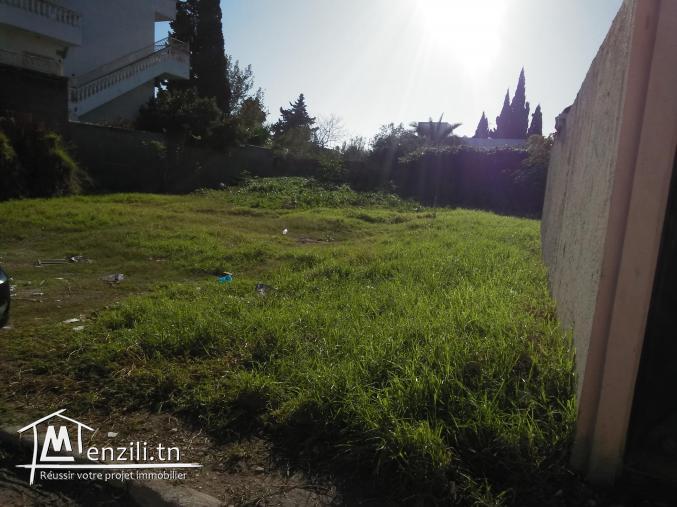 TERRAIN A VENDRE A KSAR SAID 2