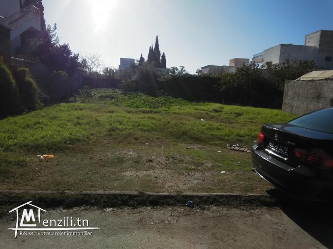 TERRAIN A VENDRE A KSAR SAID 2